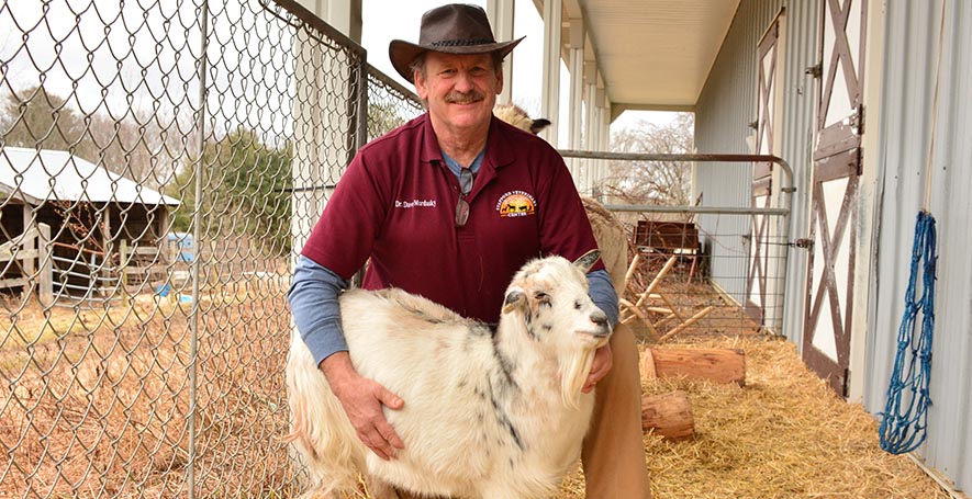 Goat Veterinarian in Stafford Springs, CT