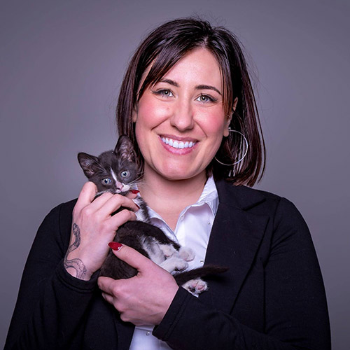 Stafford Veterinary Center Staff