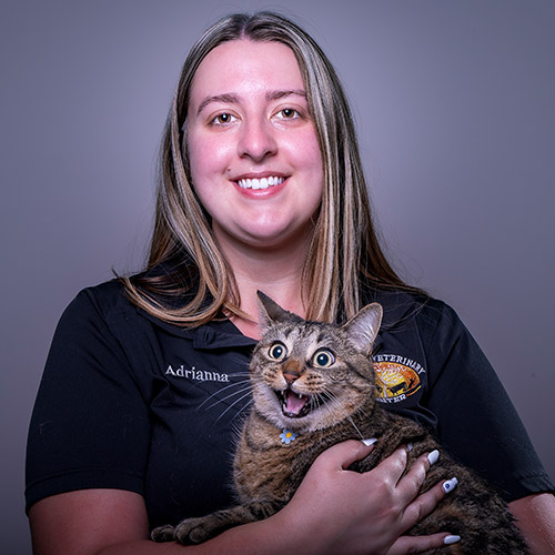 Stafford Veterinary Center Staff