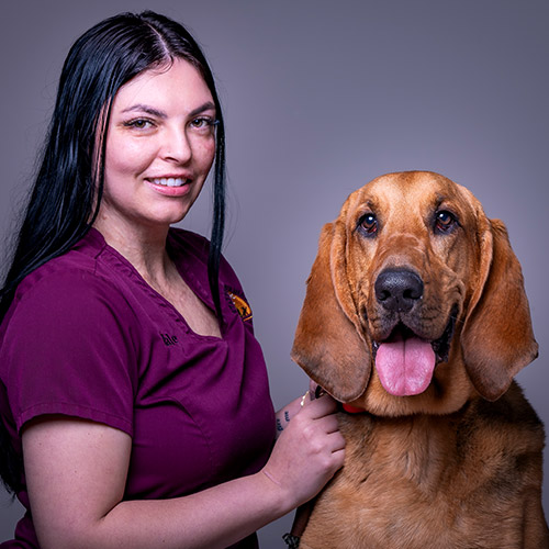 Stafford Veterinary Center Staff