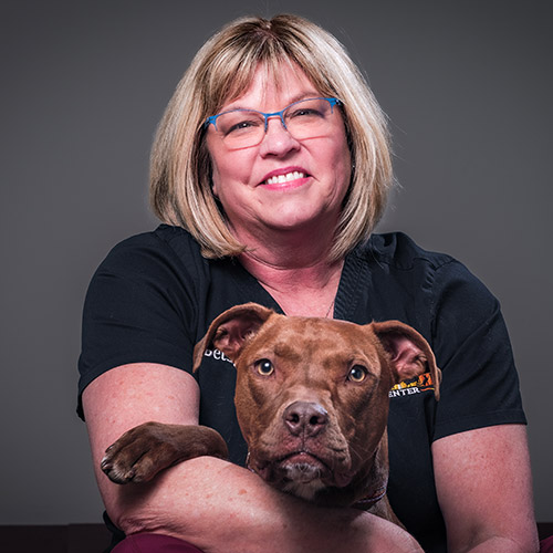 Stafford Veterinary Center Staff