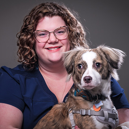 Stafford Veterinary Center Staff