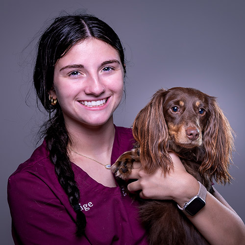 Meet Paige Exam Room Assistant