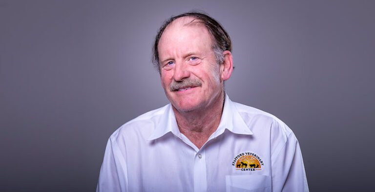 Meet Dr. David Mordasky Owner Stafford Veterinary Center