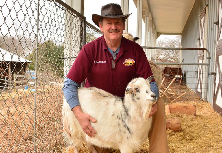 Livestock Veterinary Wellness at Stafford Springs Veterinary Center