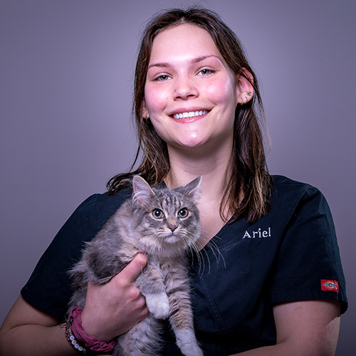 Ariel, Veterinary Technician
