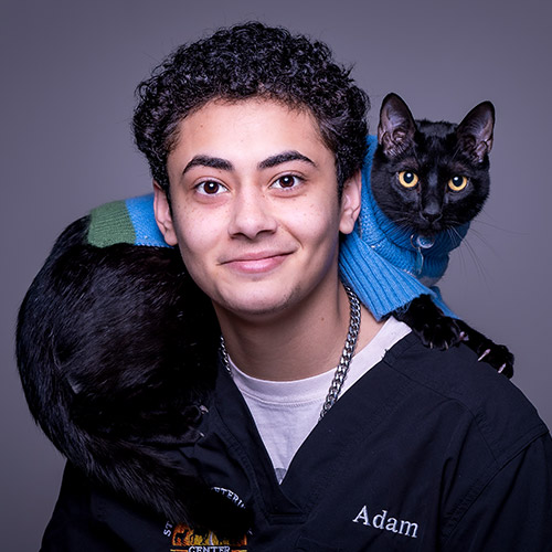 Meet Adam