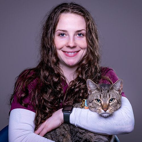 Stafford Veterinary Center Staff