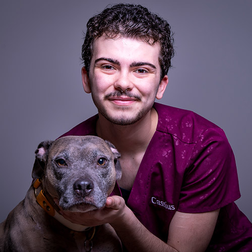 Stafford Veterinary Center Staff
