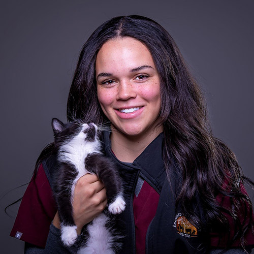 Stafford Veterinary Center Staff