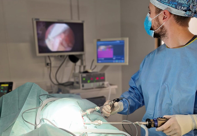 Veterinary Laparoscopic Surgery Services in Stafford Springs, CT